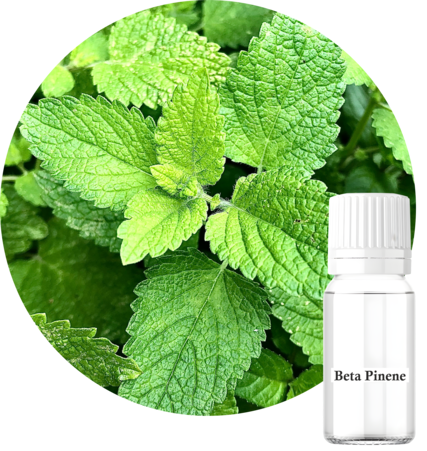 Beta-Pinene