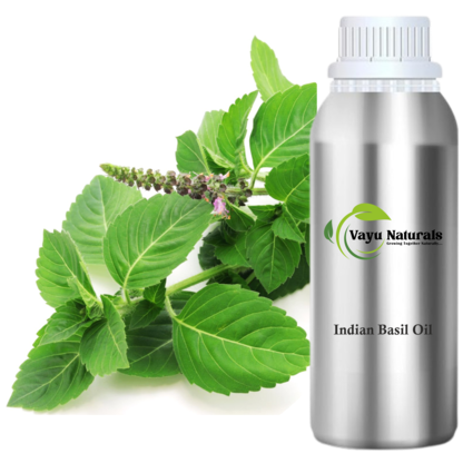 Indian Basil Oil
