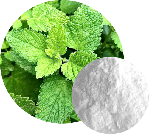 Menthol Powder