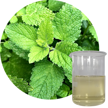 Mint Terpene