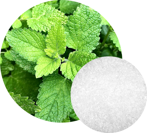 Natural Menthol Small Crystals