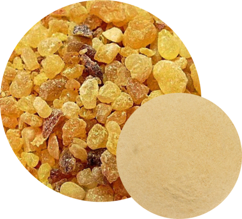 Boswellia Serrata Extract