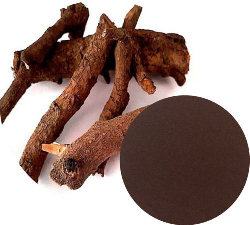 Chitrakmool