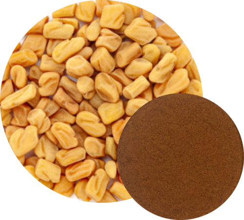 Fenugreek