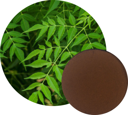 Neem Leaf Extract