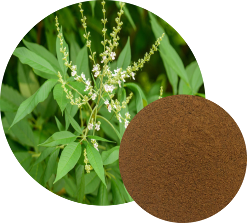 Nirgundi