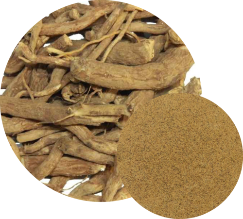 Punarnava Extract